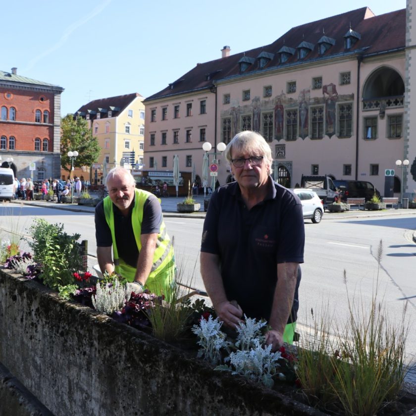 Herbst- und Winterpflanzung in der Stadt Passau